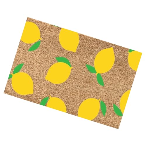 doyandader Fußmatte für den Außenbereich, Pilzdruck, Fußmatte, Türmatte, Hallo Sommer, Heimdekoration, rutschfest, 40,6 x 61 cm von doyandader