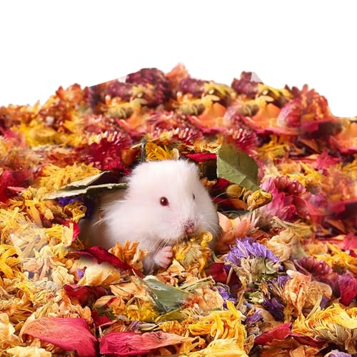 doyandader Hamstereinstreu – 100 g Trockenblumen für kleine Haustiere, beruhigende, langanhaltende Düfte, Feuchtigkeitsaufnahme, Lebensraum, Dekoration für Katzen, Huhn, Kaninchen, Frettchen, Käfig doyandader Hamstereinstreu – 100 g Trockenblumen für kleine Haustiere, beruhigende, langanhaltende Düfte, Feuchtigkeitsaufnahme, Lebensraum, Dekoration für Katzen, Huhn, Kaninchen, Frettchen, Käfig von doyandader