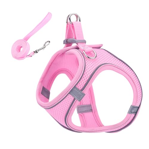 doyandader Katzengeschirr - Weiches Reflektierendes Mesh Geschirr Und Leine - Größen S M L Für Wanderungen Training Reisen Outdoor doyandader Katzengeschirr - Weiches Reflektierendes Mesh Geschirr Und Leine - Größen S M L Für Wanderungen Training Reisen Outdoor von doyandader
