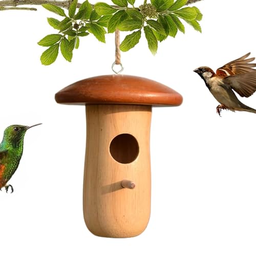 doyandader Kolibri-Häuser zum Nisten - Kolibri-Nisthaus | Holzhütte Pilz Tierheim Dekoration für den Außenbereich, Garten, Baum, , Balkon, Terrasse, Innenhof doyandader Kolibri-Häuser zum Nisten - Kolibri-Nisthaus | Holzhütte Pilz Tierheim Dekoration für den Außenbereich, Garten, Baum, , Balkon, Terrasse, Innenhof von doyandader