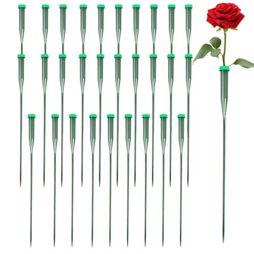 doyandader Reagenzgläser für Blumen, Wasserröhrchen für Blumenarrangements, Blumenarrangements, Süßblumenwasser, 30 Stück doyandader Reagenzgläser für Blumen, Wasserröhrchen für Blumenarrangements, Blumenarrangements, Süßblumenwasser, 30 Stück von doyandader