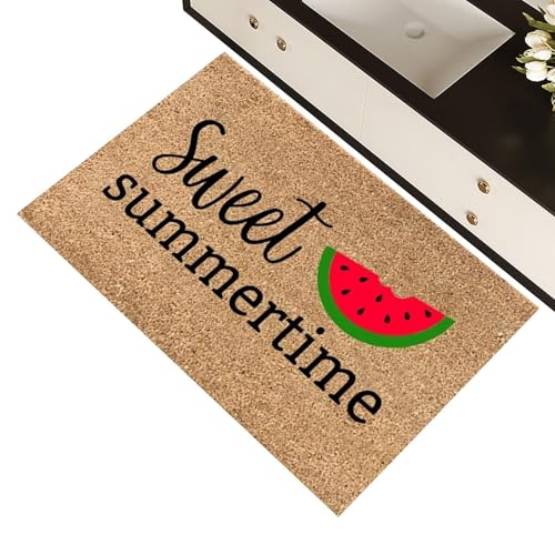doyandader Sommer-Fußmatte, Hallo Sommer, Fußmatte für drinnen und draußen, 40,6 x 61 cm, rutschfeste Gummi-Rückseite, Willkommensmatten von doyandader