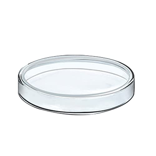 dragonaur-home decor 1 Stück Sterile Kunststoff Petrischalen Transparent Hitzebeständig Kulturschale Professionelle Glas Labor Bakterien Schalen 75mm von dragonaur-home decor