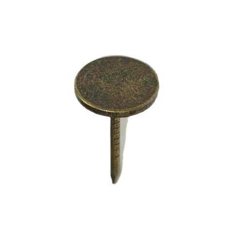 drburpily Robuste Polster Wandnägel, flache Reißnägel für die Wand, silberfarbene Reißnägel, 100 Stück, flache Reißnägel für die Wand, A 15 * 19mm drburpily Robuste Polster Wandnägel, flache Reißnägel für die Wand, silberfarbene Reißnägel, 100 Stück, flache Reißnägel für die Wand, A 15 * 19mm von drburpily