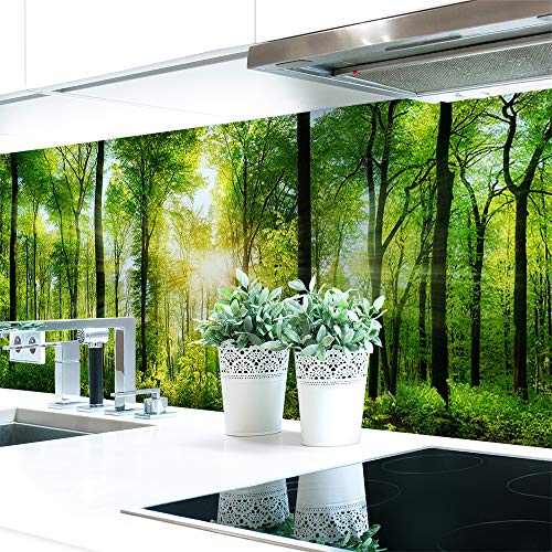 Küchenrückwand Waldlichtung Premium Hart-PVC 0,4 mm selbstklebend - Direkt auf die Fliesen, Größe:220 x 60 cm Küchenrückwand Waldlichtung Premium Hart-PVC 0,4 mm selbstklebend - Direkt auf die Fliesen, Größe:220 x 60 cm von DRUCK-EXPERT