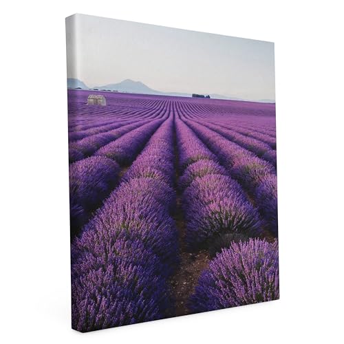 Keilrahmen bedruckt, Wandbild auf Künstler Leinwand, matter Kunstdruck, Stabiler Holzrahmen mit kratzfestem 280g Canvas bespannt, Motive zum Thema Natur (40x60cm - Lavendel) von druck.de