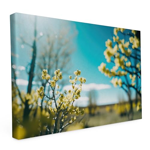 Keilrahmen bedruckt, Wandbild auf Künstler Leinwand, matter Kunstdruck, Stabiler Holzrahmen mit kratzfestem 280g Canvas bespannt, Motive zum Thema Natur (60x40cm - Frühling) von druck.de