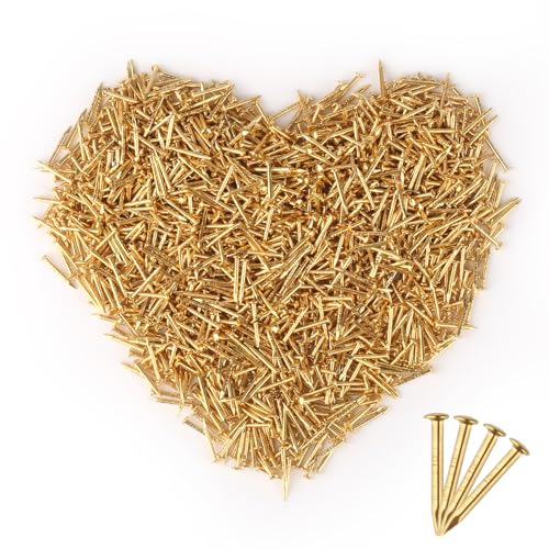 Goldene Nägel Rundkopf, 1500 Stück Kleine Goldene Nägel, 1x10mm Messingbeschichtete Nägel Runde Kopf-kleine Hölzerne Nägel für DIY-Basteleien, Möbelbefestigung (Goldene) von dsDAEDK