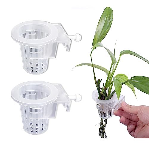 duozoanz Aquarium Hängepflanzenhalter Pflanzenhalter Plant Cup - Pflanzenbecher mit Haken für Aquaponische Pflanzenanbau Landschaft Pflanzen Aquascape Dekoration Wasser Pflanzen, 2 Stück von duozoanz