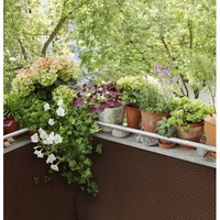 Dynamic24 - Polyrattan Sichtschutzmatte 300x90cm hellbraun SG03601-RD01 von dynamic24