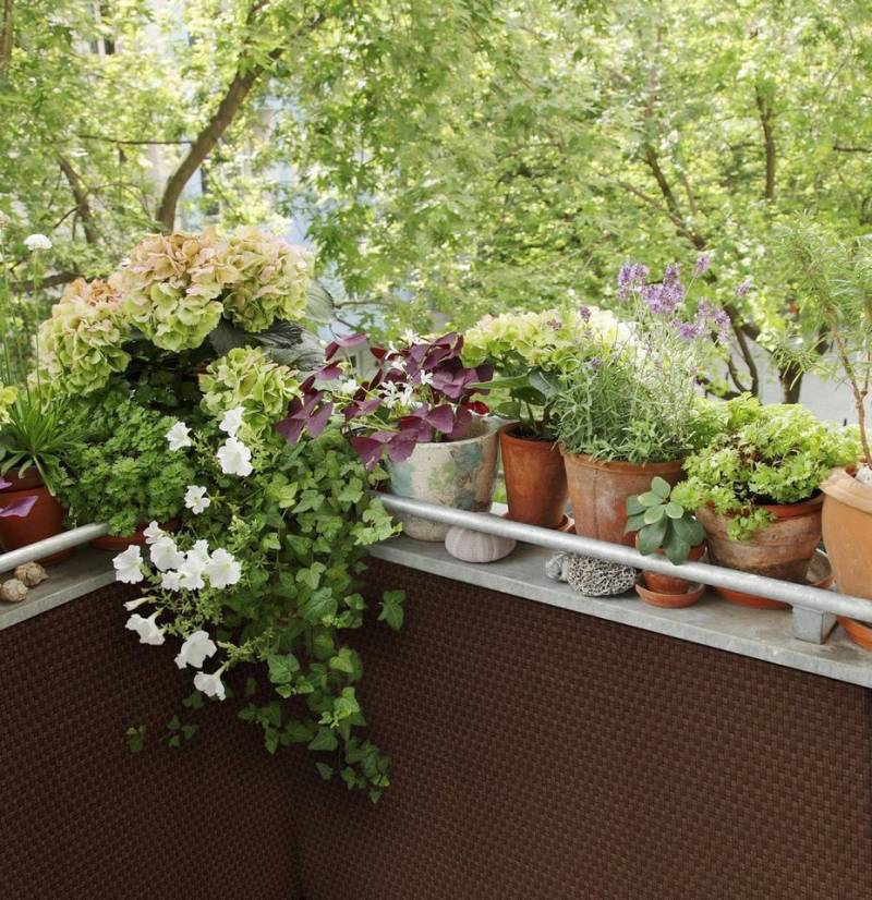 dynamic24 Balkonsichtschutz Polyrattan PVC Sichtschutz Matte 300x90cm Balkon Zaun Windschutz von dynamic24
