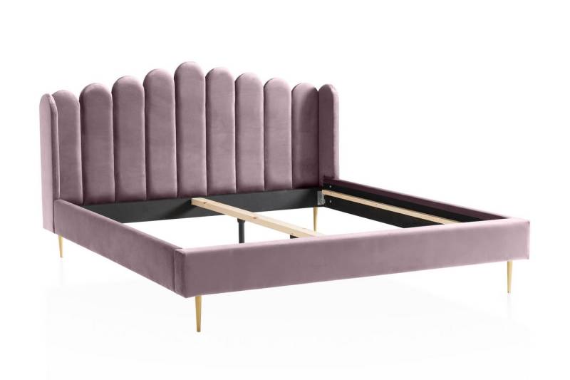 dynamic24 Bett, Muschelbett aus Samt 140x200 cm von dynamic24