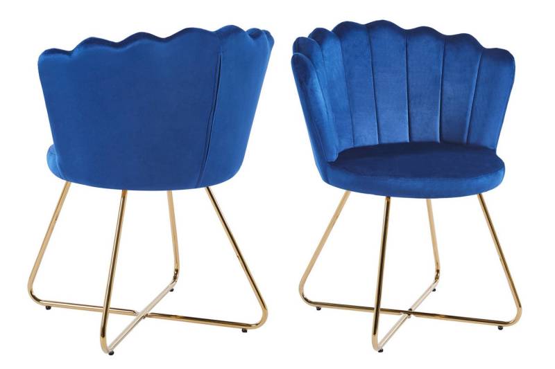 dynamic24 Polsterstuhl Olathe, Muschelstuhl aus Samt 2er Set Dunkelblau von dynamic24