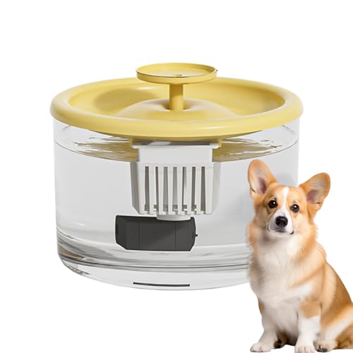 dzqad Katzenbrunnen - 1500 ml Rutschfester Trinkbrunnen | Auslaufsicherer Katzenbrunnen - Für Haustiere Katzen Und Hunde, Für Zuhause, Wohnzimmer, Urlaub, Täglichen Gebrauch, Innen Und dzqad Katzenbrunnen - 1500 ml Rutschfester Trinkbrunnen | Auslaufsicherer Katzenbrunnen - Für Haustiere Katzen Und Hunde, Für Zuhause, Wohnzimmer, Urlaub, Täglichen Gebrauch, Innen Und von dzqad