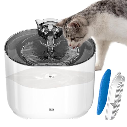 dzqad Katzentränken Für Innenräume,Katzen Trinknapf Automat mit Filter | Automatischer Wasserspender Mit Mehrschichtiges Filtersystem Für Mehrere Haustiere Für Zuhause dzqad Katzentränken Für Innenräume,Katzen Trinknapf Automat mit Filter | Automatischer Wasserspender Mit Mehrschichtiges Filtersystem Für Mehrere Haustiere Für Zuhause von dzqad
