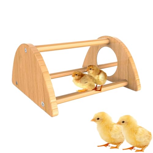dzqad Küken Sitzstange Unter Wärmelampe | Perch für Babyküken,Holz Hühnerständer Mit Spiegel Zum Spielen Stallspielzeug dzqad Küken Sitzstange Unter Wärmelampe | Perch für Babyküken,Holz Hühnerständer Mit Spiegel Zum Spielen Stallspielzeug von dzqad