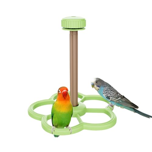 dzqad Vogelsitzstange - Spielplatz Mit Windmühle Für Vögel,Krallenpflege Volierenspielzeug Für Sittiche Nymphensittiche Wellensittiche Und Aras Fensterplatz von dzqad