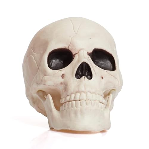 eBoutik - Ein großer Halloween-Deko-Totenkopf mit beweglichem Kiefer und leuchtenden roten Augen, Tisch, Türeingang oder Spukhaus-Display für gruselige Party eBoutik - Ein großer Halloween-Deko-Totenkopf mit beweglichem Kiefer und leuchtenden roten Augen, Tisch, Türeingang oder Spukhaus-Display für gruselige Party von eBoutik