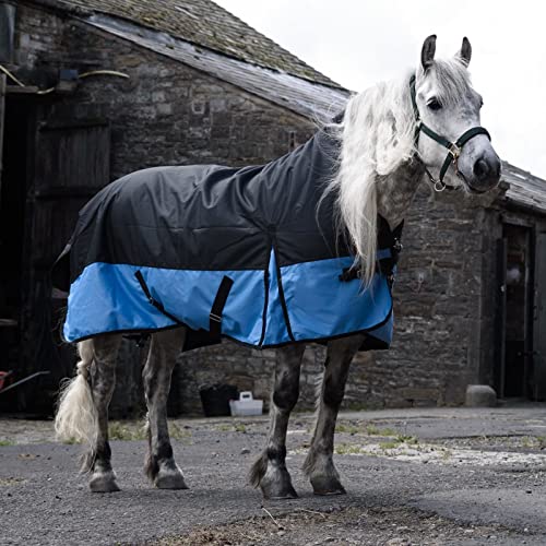Equitack 1200 Denier Pferdedecke Outdoor Winterdecken Weidedecke mit 100 G Füllung Highneck Schwarz/Baby blau 155cm Equitack 1200 Denier Pferdedecke Outdoor Winterdecken Weidedecke mit 100 G Füllung Highneck Schwarz/Baby blau 155cm von eQuitack Your Passion Is Our Mission