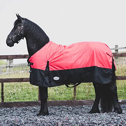 Equitack 1200 Denier Pferdedecke Outdoor Winterdecken Weidedecke mit 100 G Füllung Regular Rot/Schwarz 145cm Equitack 1200 Denier Pferdedecke Outdoor Winterdecken Weidedecke mit 100 G Füllung Regular Rot/Schwarz 145cm von eQuitack Your Passion Is Our Mission