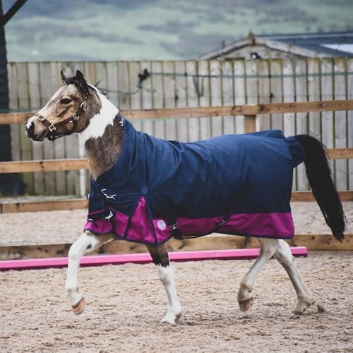 eQuitack Your Passion Is Our Mission 1200 Denier Pferdedecke Outdoor Winterdecken Weidedecke mit 200 G Fullung Highneck Navy/Raspberry 155cm eQuitack Your Passion Is Our Mission 1200 Denier Pferdedecke Outdoor Winterdecken Weidedecke mit 200 G Fullung Highneck Navy/Raspberry 155cm von eQuitack Your Passion Is Our Mission