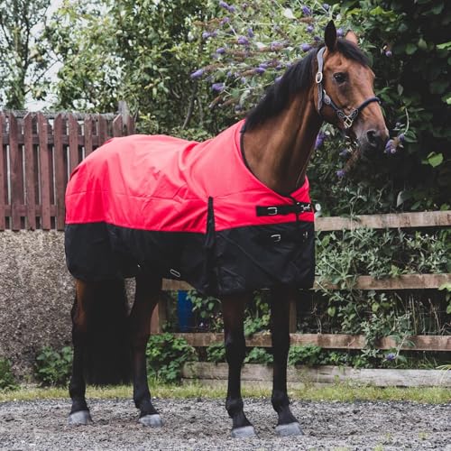 eQuitack Your Passion Is Our Mission 1200 Denier Pferdedecke Regendecke mit Fleece Lining Rot/Schwarz 125cm eQuitack Your Passion Is Our Mission 1200 Denier Pferdedecke Regendecke mit Fleece Lining Rot/Schwarz 125cm von eQuitack Your Passion Is Our Mission