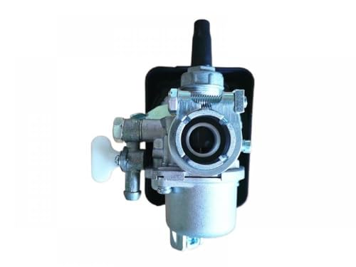 Vergaserschwimmer 1E40F-5 40-5 kompatibel mit BG430 CG430 43CC 52CC TL43 TB43 TU43 Mist Duster Sprayer und von eRgDFS