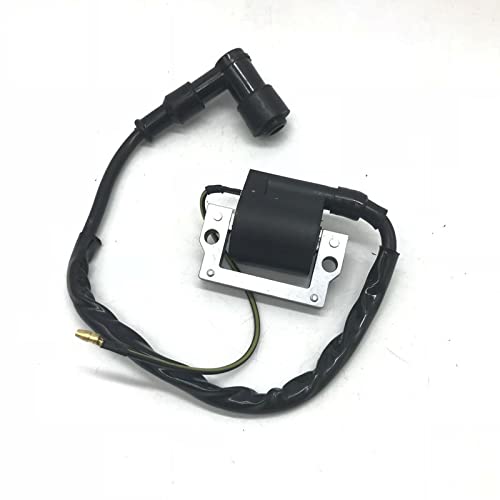 Zündspule kompatibel mit DS80 RM50 SP370 DR370 SP400 TS100 TS125 DS125 GN400 Modelle Motorradmotorteile von eRgDFS