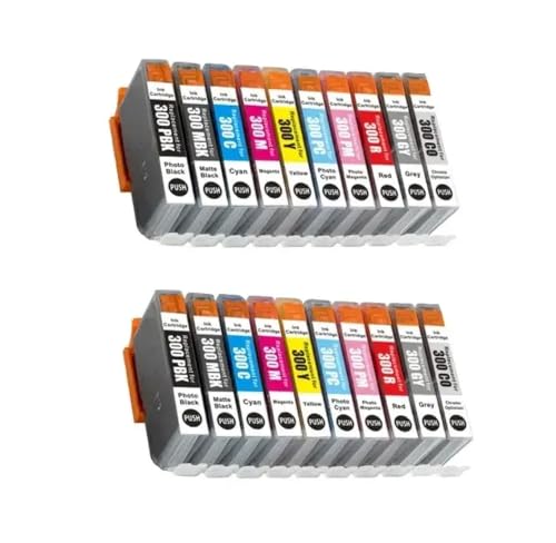 eRgDFS Kompatibel mit großer Format Ink Patrone Pro300 PFI 300 Bild Pro 300 Tintenstrahldrucker(2 Set 20PCS) von eRgDFS