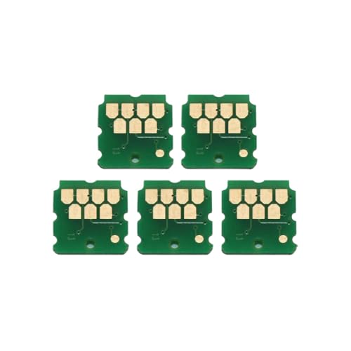 eRgDFS SC13MB S2100 kompatibler Wartungstankchip Kompatibel mit T5160 T5170 SC-T5180N SC-T5180 F500 F530 F570 F571 T2100 T3100 T5100 F501(2PC) von eRgDFS