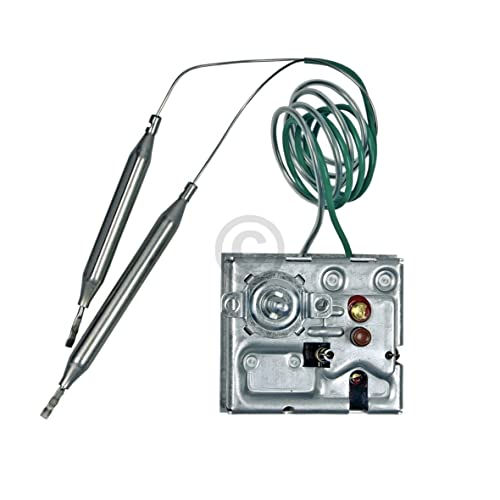 eVendix 55.60019.230 Thermostat, Eisen von eVendix