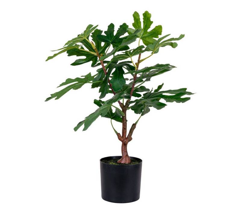 Kunstpflanze Figentræ Künstliche Pflanze H60 cm grün., ebuy24, Höhe 60 cm von ebuy24