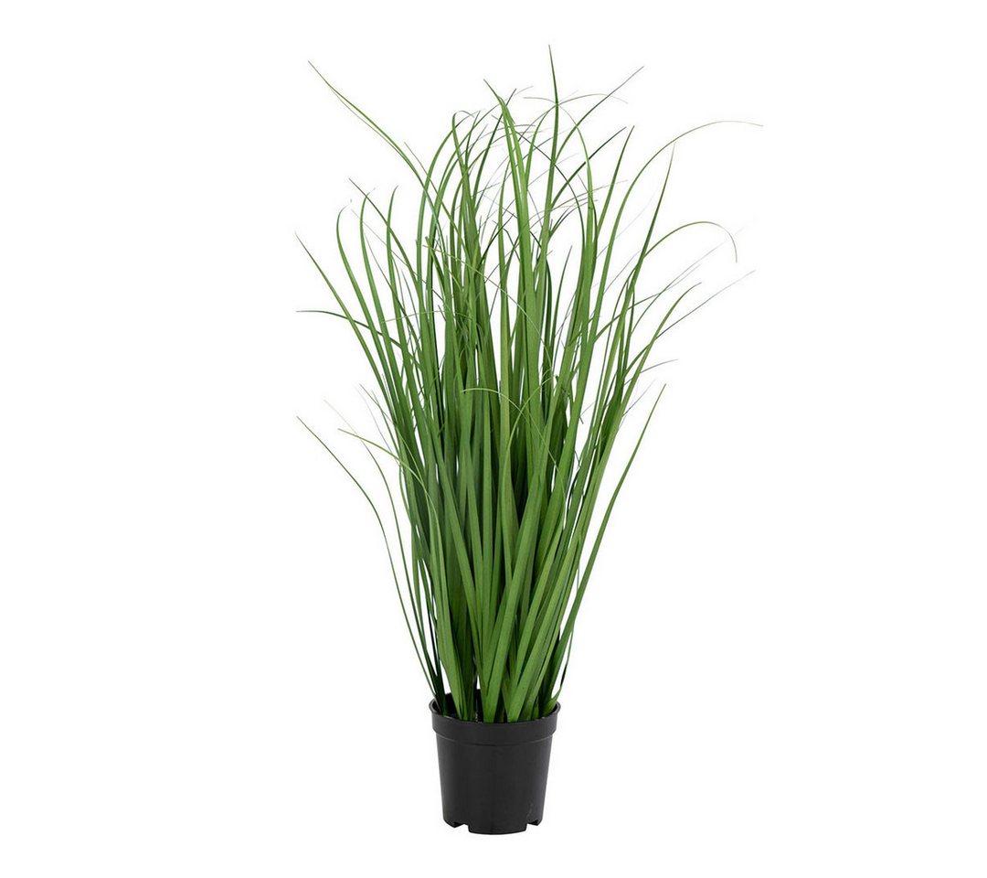 Kunstpflanze Græs Künstliches Poa Gras H68 cm grün., ebuy24, Höhe 68 cm Kunstpflanze Græs Künstliches Poa Gras H68 cm grün., ebuy24, Höhe 68 cm von ebuy24