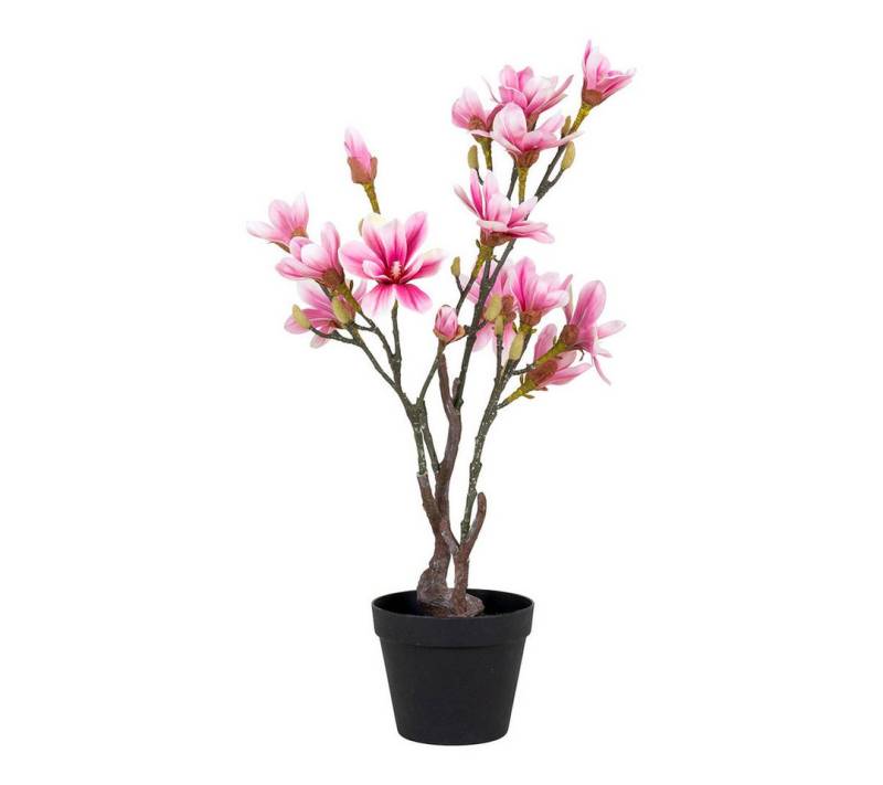 Kunstpflanze Magnoliatræ Künstliche Pflanze H74 cm grün, rosa., ebuy24, Höhe 74 cm von ebuy24