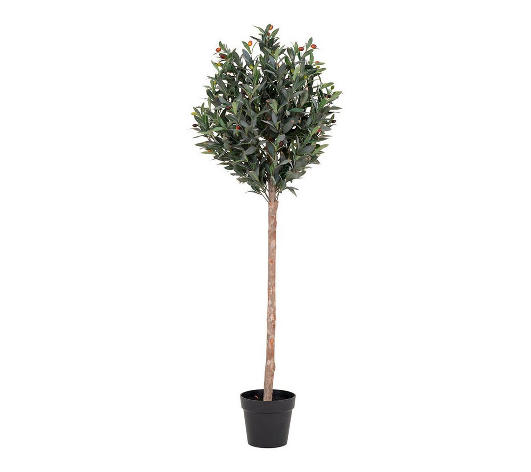 Kunstpflanze Oliventræ Künstliche Pflanze H150 cm grün., ebuy24, Höhe 150 cm von ebuy24