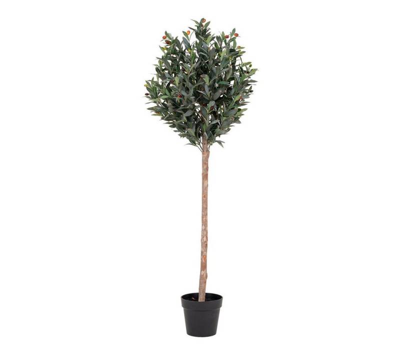 Kunstpflanze Oliventræ Künstliche Pflanze H150 cm grün., ebuy24, Höhe 150 cm von ebuy24