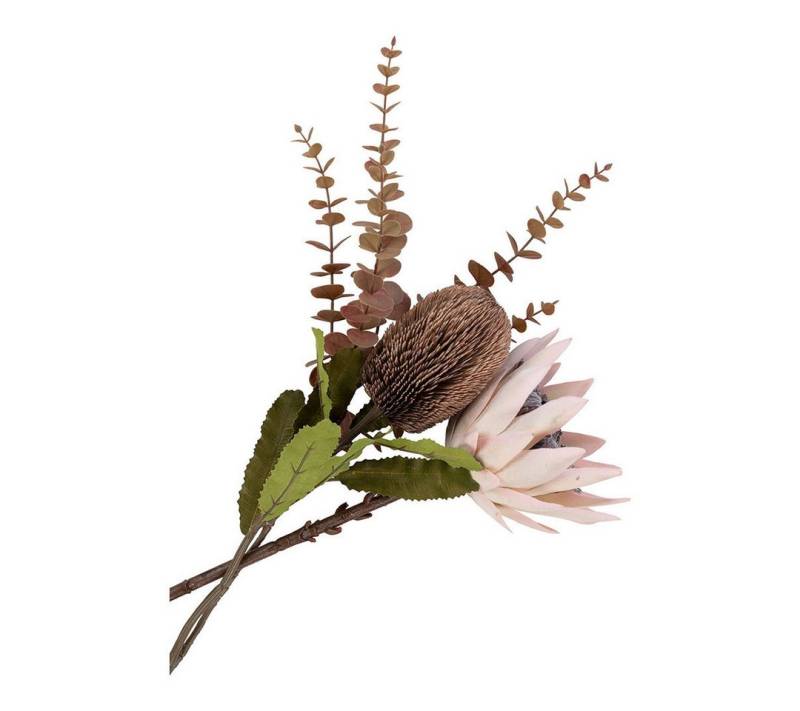 Kunstpflanze Protea Buket Künstliche Blumen H65 cm Bordeaux., ebuy24, Höhe 65 cm von ebuy24