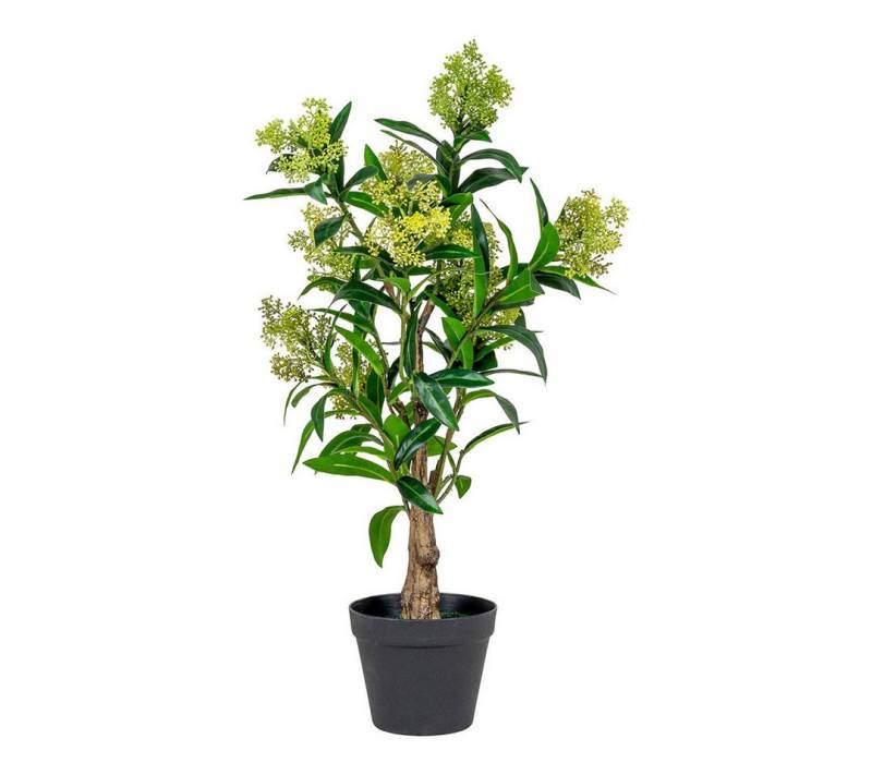 Kunstpflanze Træ Künstliche Pflanze H75 cm grün., ebuy24, Höhe 75 cm von ebuy24