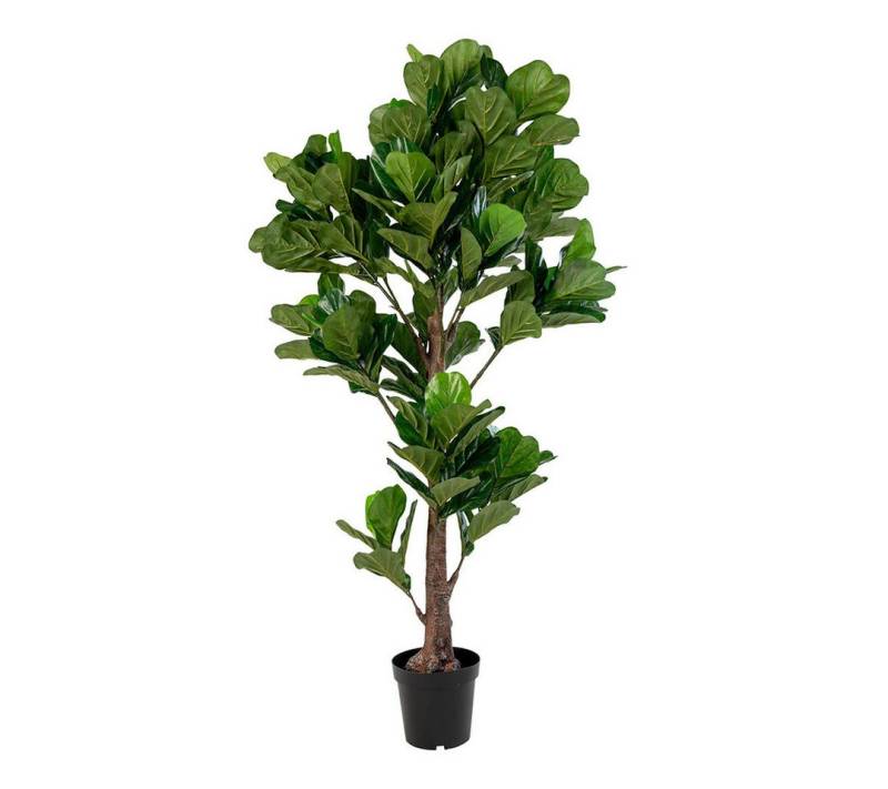 Kunstpflanze Violinfigen Künstliche Pflanze H190 cm grün., ebuy24, Höhe 190 cm von ebuy24