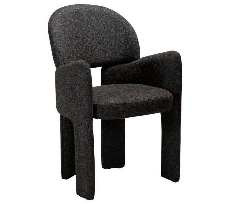 ebuy24 Esszimmerstuhl 2er Set Aole Dan-Form Esszimmerstuhl mit Armlehnen von ebuy24