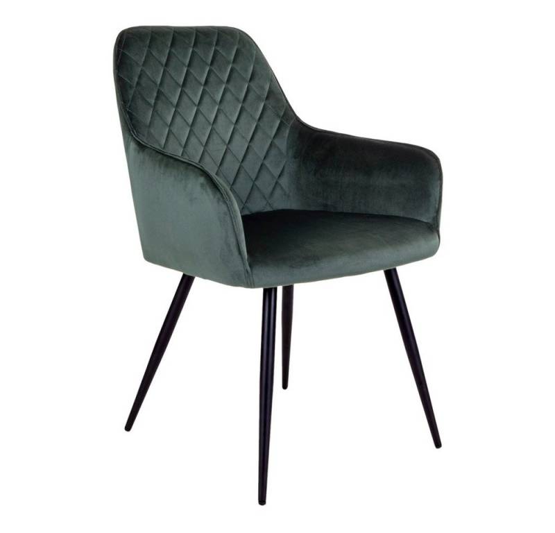 ebuy24 Esszimmerstuhl 2er Set Hasse Esszimmerstuhl grün, schwarz. (2 St) von ebuy24
