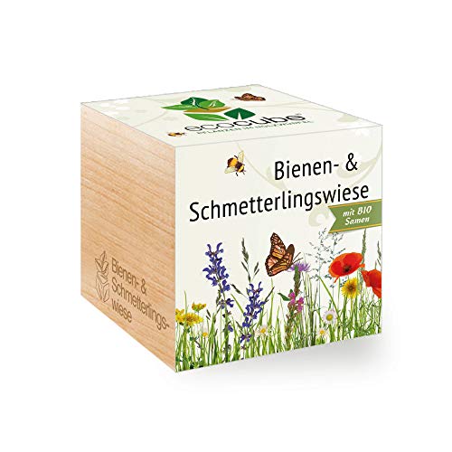 Bienen- & Schmetterlingswiese im Holzwürfel mit Bio-Samen von ecocube