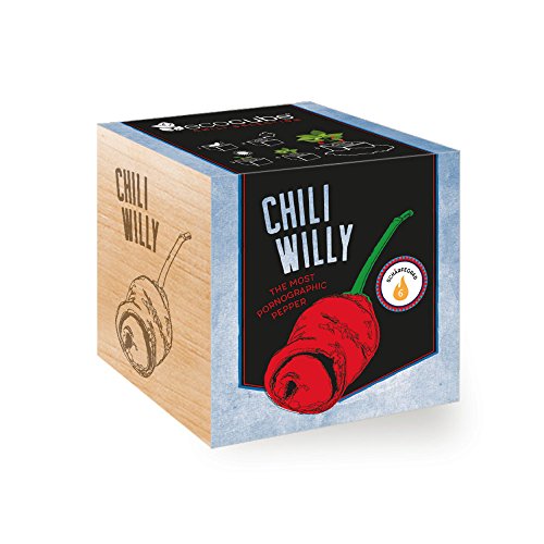 Chilipflanze 'Chili Willy' im Holzwürfel - Chili Selection von ecocube