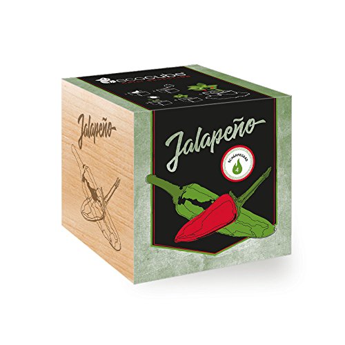Chilipflanze 'Jalapeño' im Holzwürfel - Chili Selection von ecocube