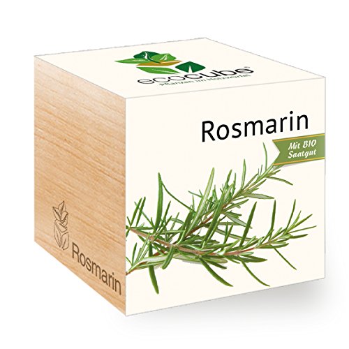 Rosmarin im Holzwürfel mit Bio-Samen von ecocube