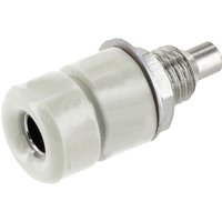 Econ Connect - TB40WS Einbaubuchse Buchse, Einbau Weiß 1 St. Bulk Econ Connect - TB40WS Einbaubuchse Buchse, Einbau Weiß 1 St. Bulk von econ Connect