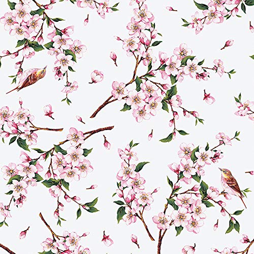 ecosoul Wachstuchtischdecke Kirschbaum Blumen Vögel rosa weiß Zweige (7,-€/Meter) bunt Wachstischdecke Schutzdecke Gartentischdecke Meterware glatt abwaschbar Breite:140cm Länge:100cm von ecosoul