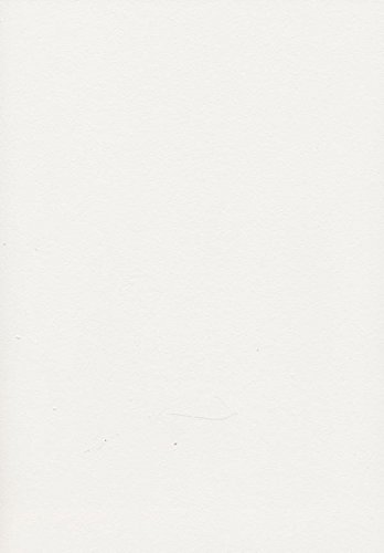 Volvox | Espressivo Lehmfarbe | Preisgruppe A Größe 0,9 L, Farbe mont blanc | 017 von ecotec Naturfarben GmbH