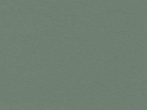 Volvox | Espressivo Lehmfarbe | Preisgruppe B Farbe B gingko | 098, Größe 5,00 L von ecotec Naturfarben GmbH
