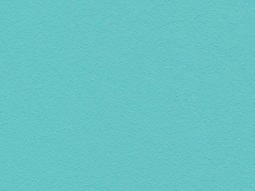 Volvox | Espressivo Lehmfarbe | Preisgruppe B Farbe B turquoise | 044, Größe 0,9 L von ecotec Naturfarben GmbH